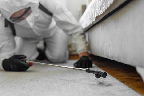 Professional Termite Control technician working in Vander, NC