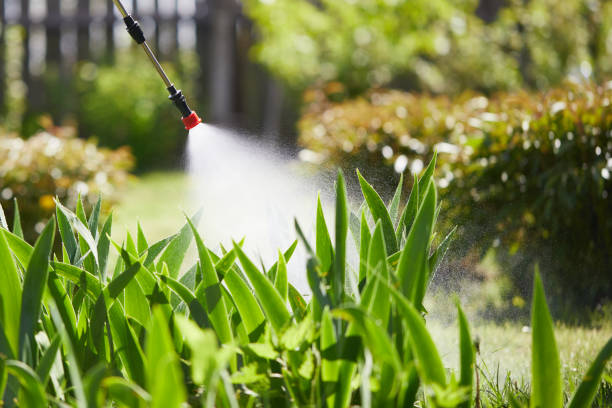 24/7 Emergency Termite Control experts in Vander, NC